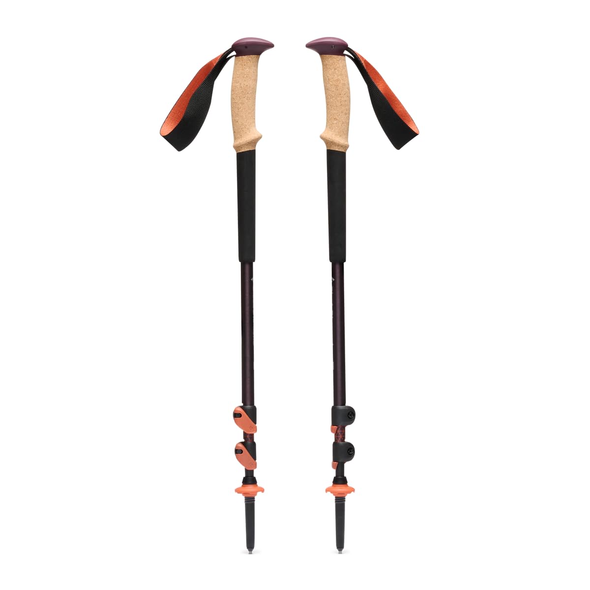 Black Diamond Trail Cork Grip trekking poles show natural cork comfort for all-day hiking.