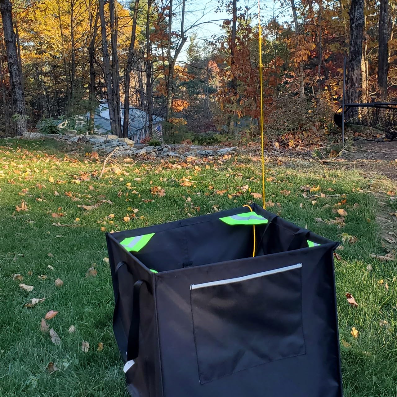 Blaze Line arborist-use scene for tree setup and hoisting