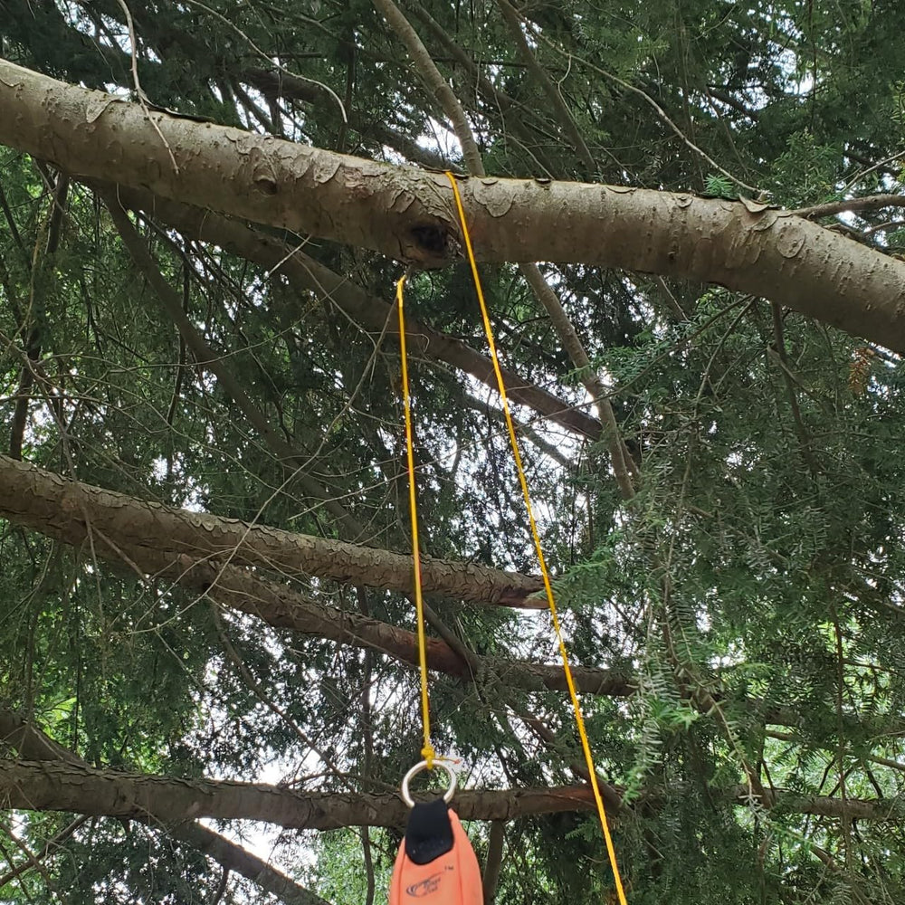 Using Blaze Line to hoist climbing rope for a tree setup.