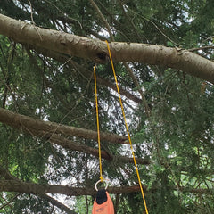 Using Blaze Line to hoist climbing rope for a tree setup.