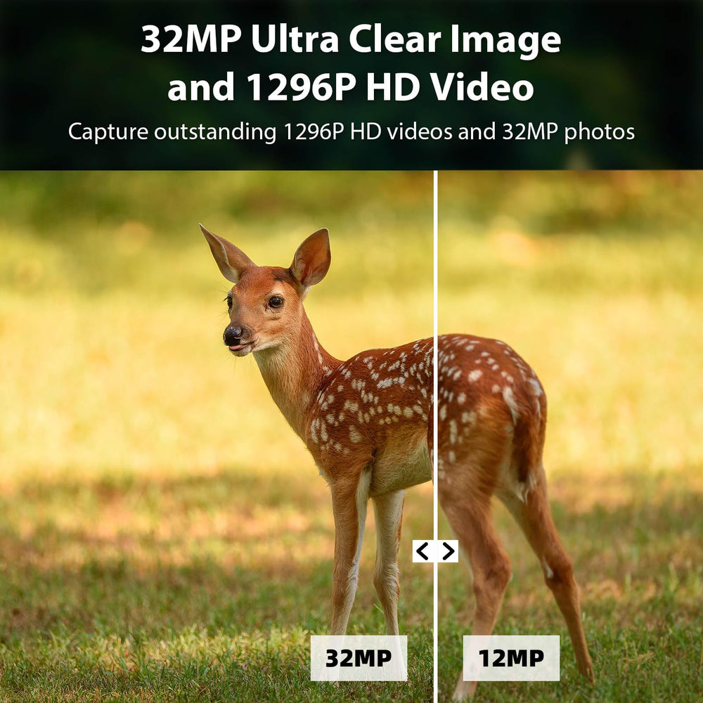 BLAZEVIDEO 1296p video footage delivers vivid night recordings for review.