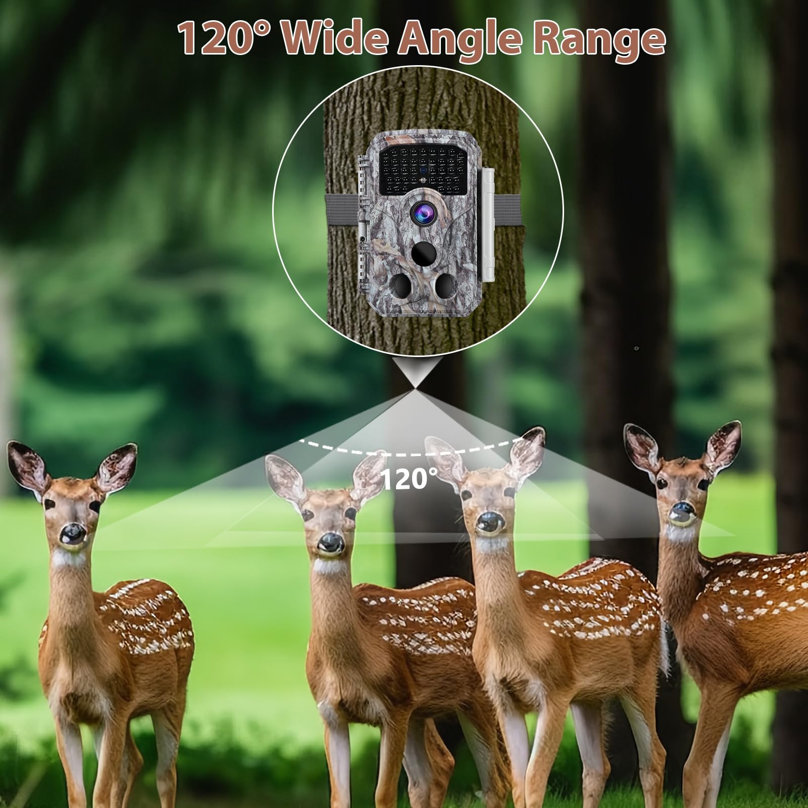 BLAZEVIDEO 40pcs no glow IR LED preserves wildlife behavior.