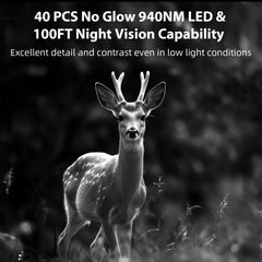 BLAZEVIDEO night-vision 100ft enables quiet nocturnal observations.