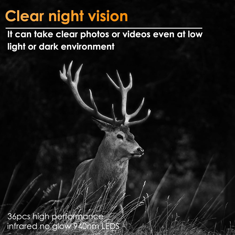 BlazeVideo trail camera IP66 rating close-up emphasizes weatherproof durability for any season.