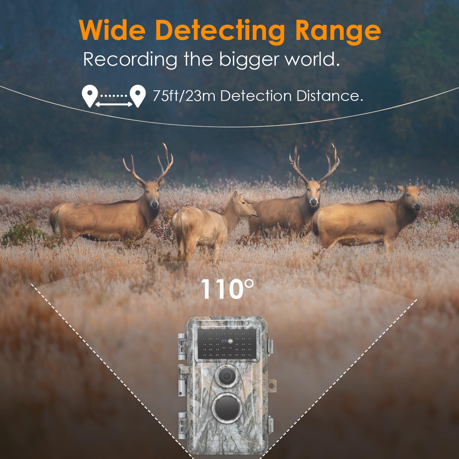 BlazeVideo trail camera memory slot supports large SD cards up to 512GB.