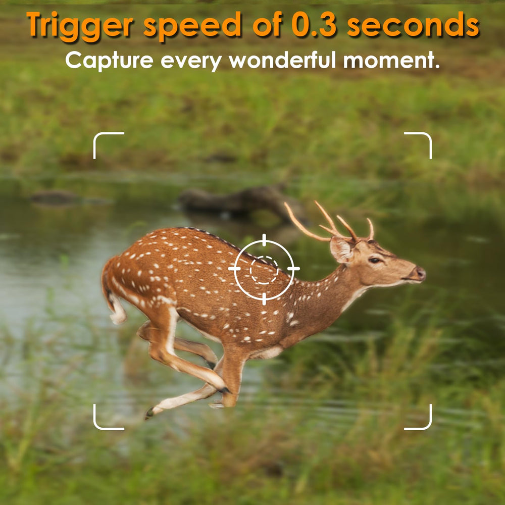 BlazeVideo trail camera fast trigger speed captures quick wildlife activity.