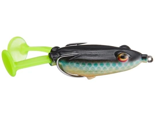 Blitz Lures Buzz Phrog GEN 2 front view highlights hollow body and realistic topwater action.
