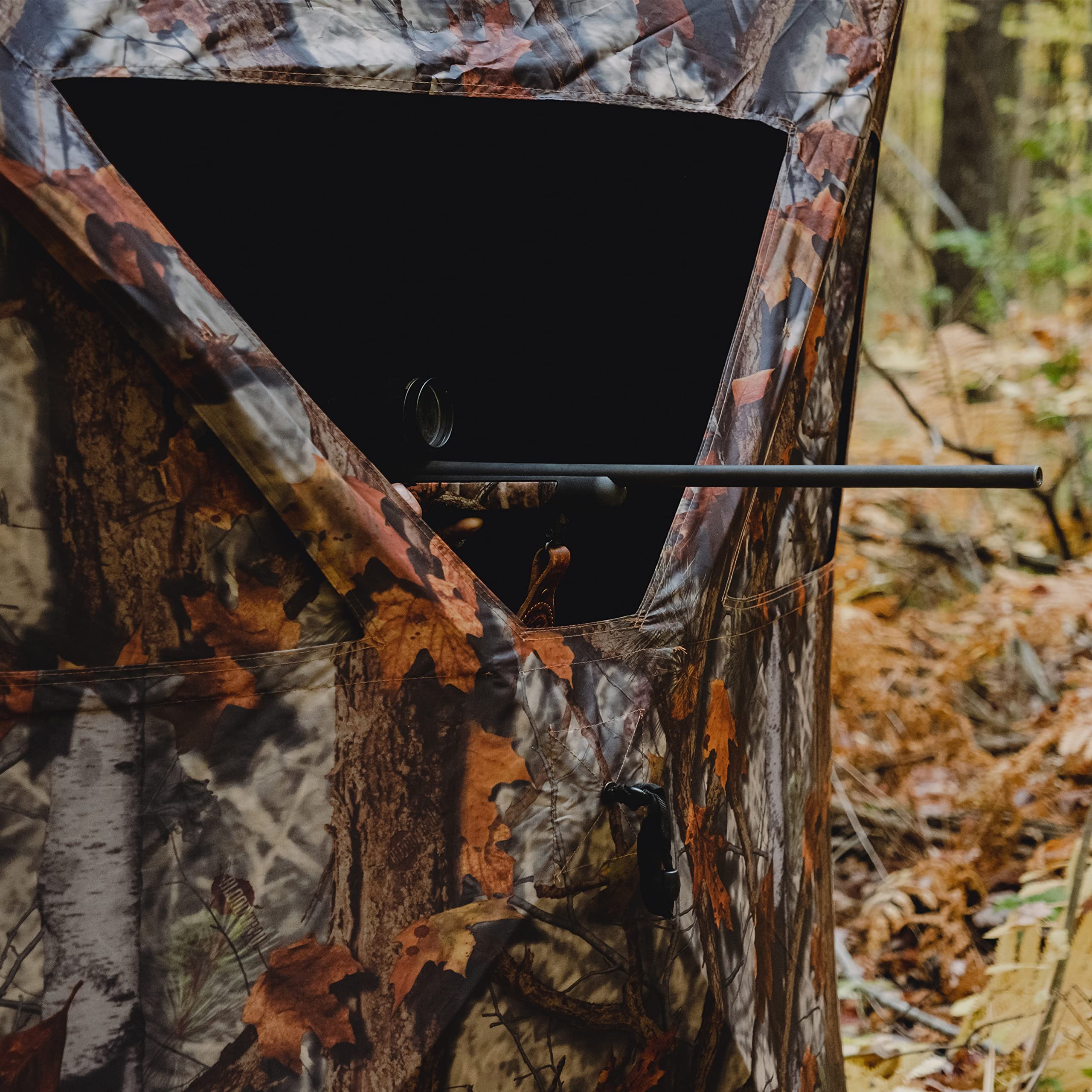 Rear peek window feature on Road Runner in woodland setting
