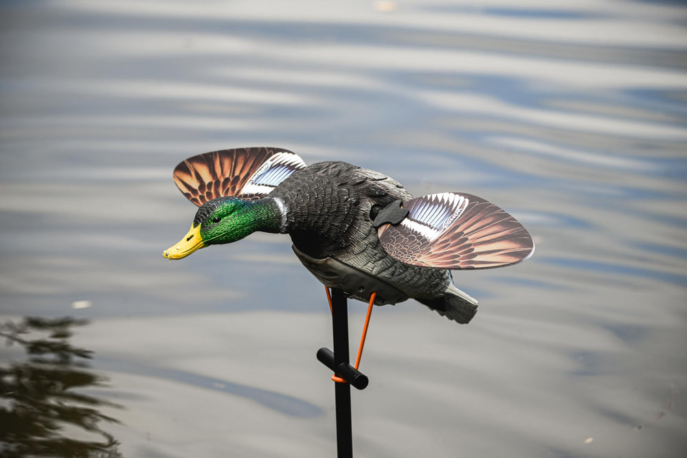 Blue Bird Waterfowl low-light 11-5in wing offers realism in dim light on water