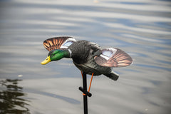 Blue Bird Waterfowl low-light 11-5in wing offers realism in dim light on water