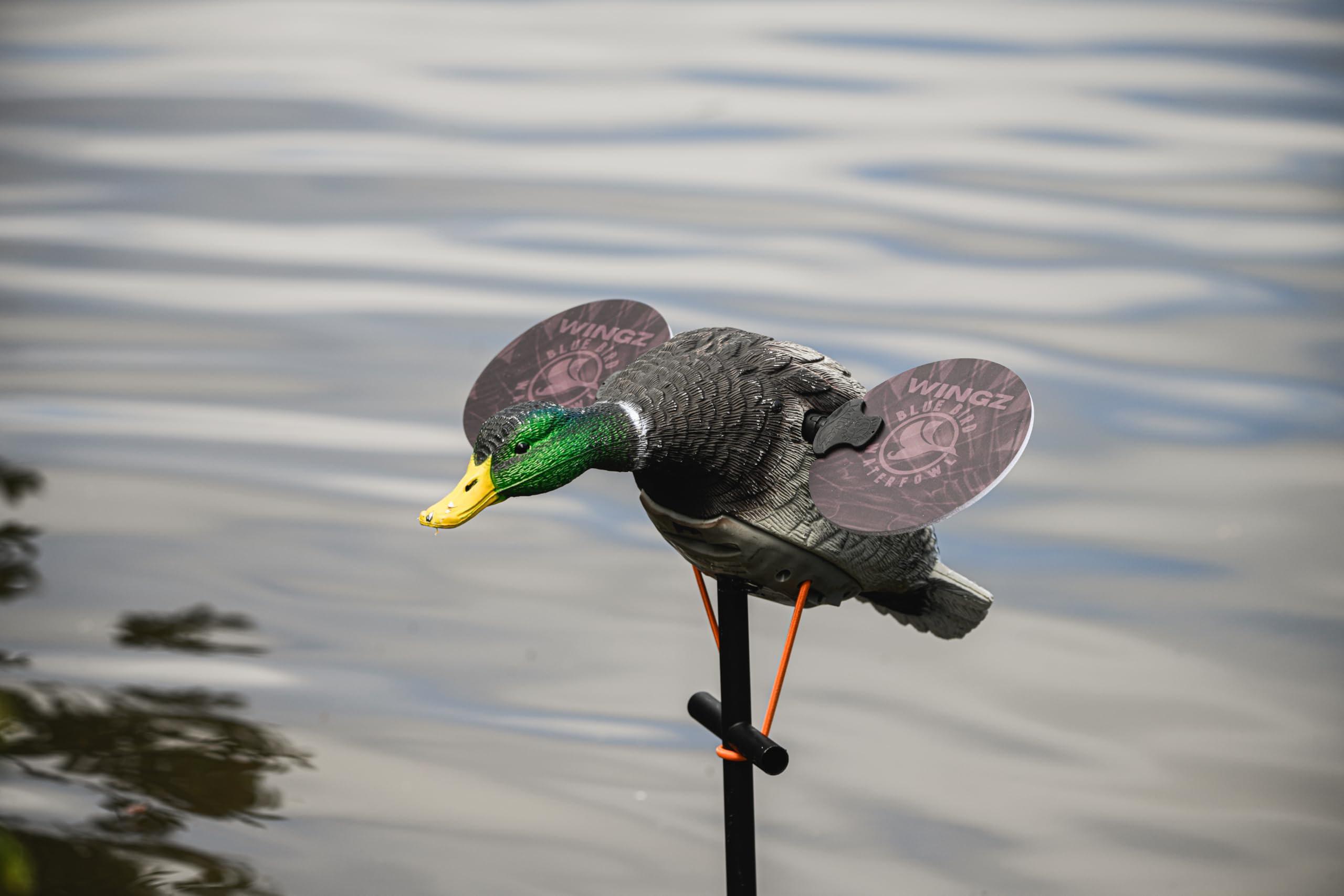 Blue Bird Waterfowl low-light wing—9-inch or 11.5-inch—two-sided color for dawn and dusk visibility.