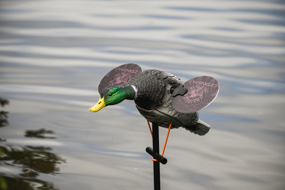 Blue Bird Waterfowl low-light wing—9-inch or 11.5-inch—two-sided color for dawn and dusk visibility.
