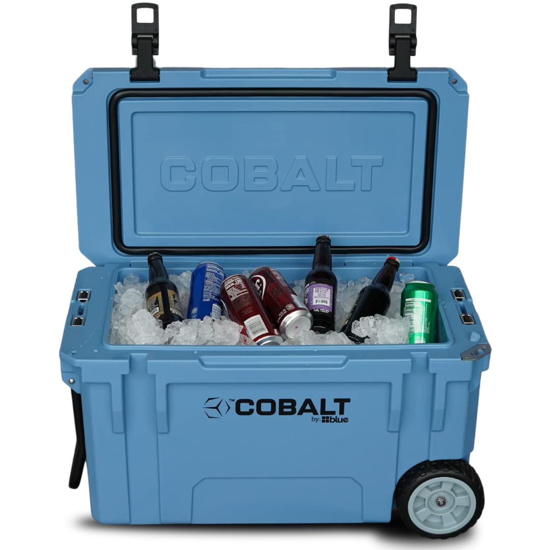 Blue Coolers Cobalt 55QT storage-setup shows versatile family backyard use.