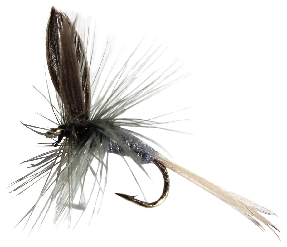 Blue Dun Trout Flies Assortment - 1 Dozen