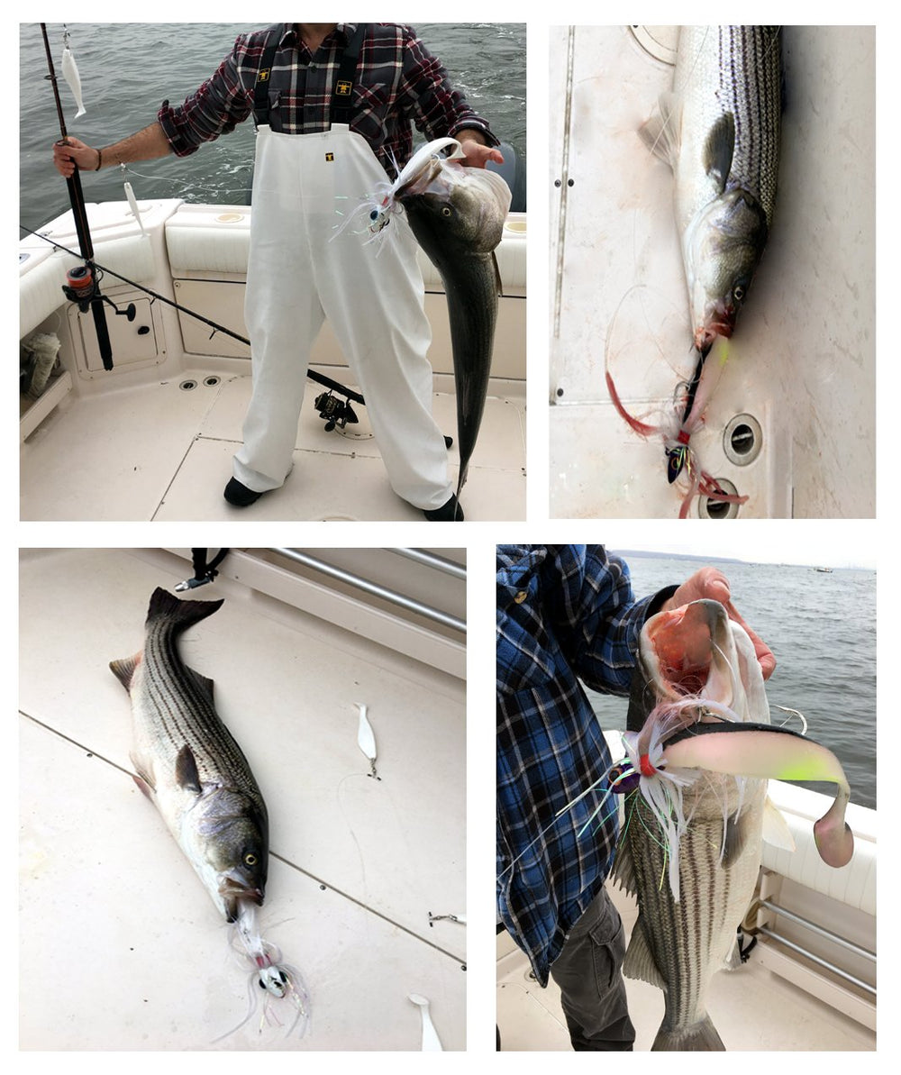 Product display of Blue Water Candy Rock Fish Mojo lures in white