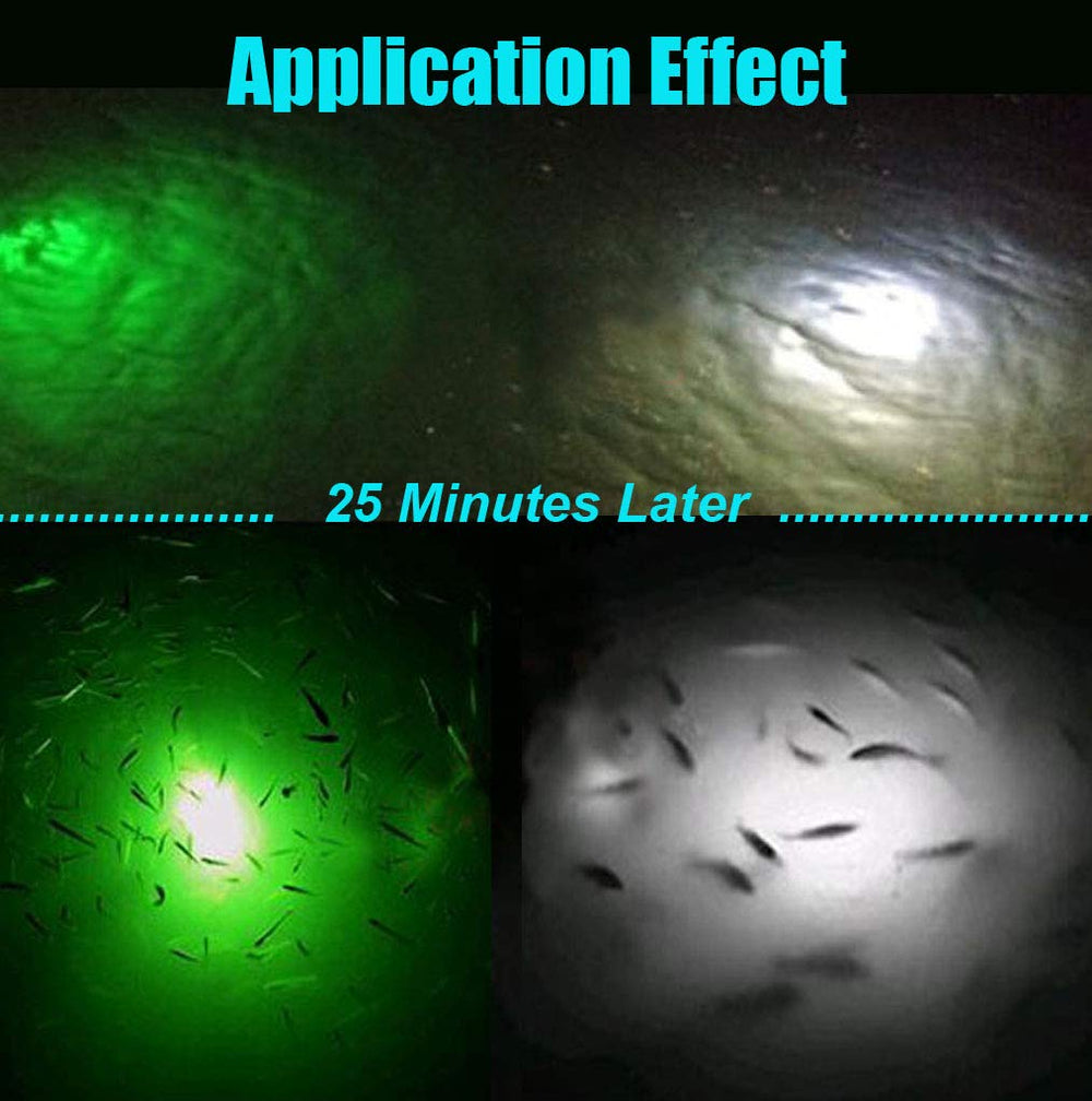 BLUERICE fishing light installed on a boat