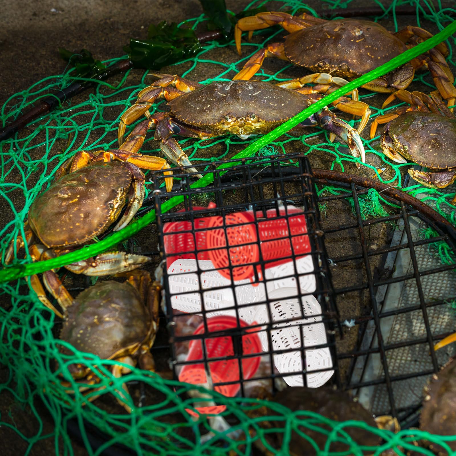 20-piece bait cage pack for fishing trips