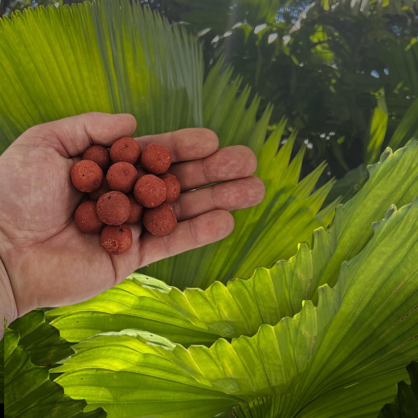 Garlic flavour boilies 20mm - product arrangement