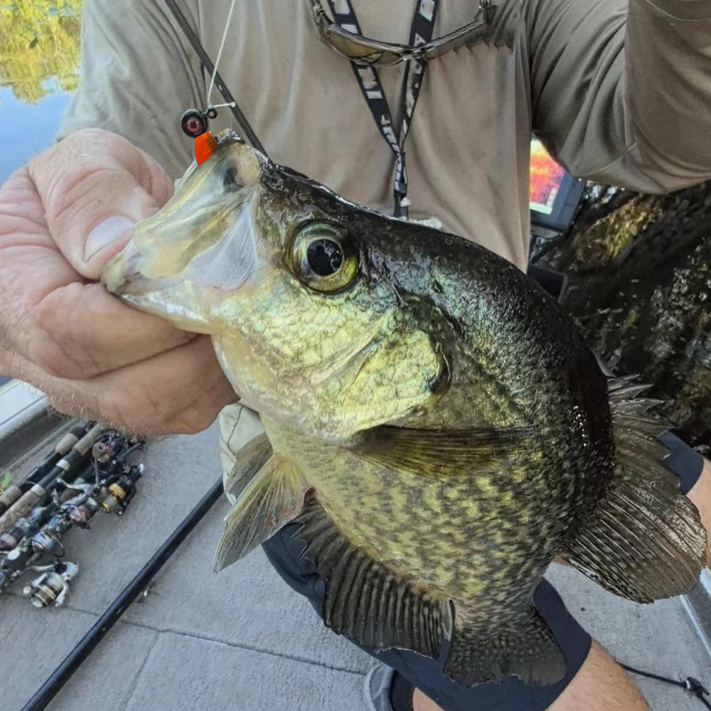 Includes 24pcs Crappie Baits in a plastic case