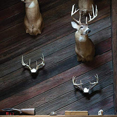 Bone Collector Change Up 360-degree rotation enables precise angle adjustments for antler displays.