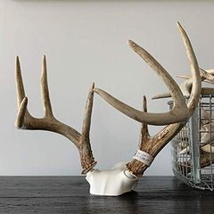 Bone Collector Change Up adjustable display supports wall or table setups for versatile showcase.