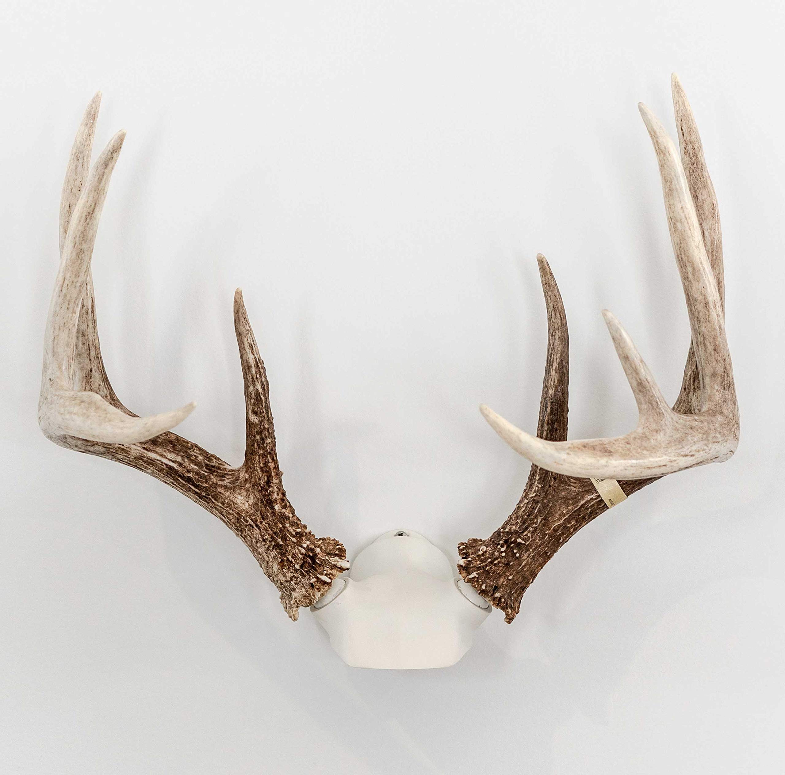 Bone Collector Change Up kit assembly shows sturdy metal construction for durable antler displays.