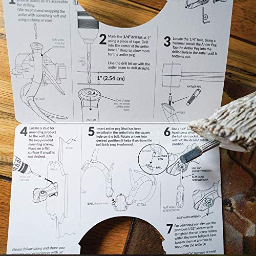 Bone Collector Change Up all-metal build for long-lasting antler displays.