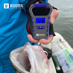 65 lb capacity indicator on Booms scale showing lb/kg/oz toggle