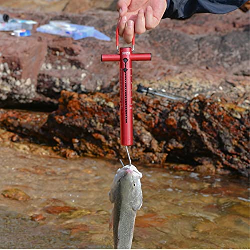 Plastic slider recording peak readings on TS1 scale