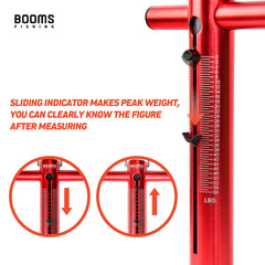 Anodized aluminum body of Booms TS1 scale