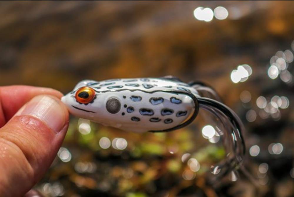 Booyah Pad Crasher Junior Dart Frog weedless topwater action over vegetation