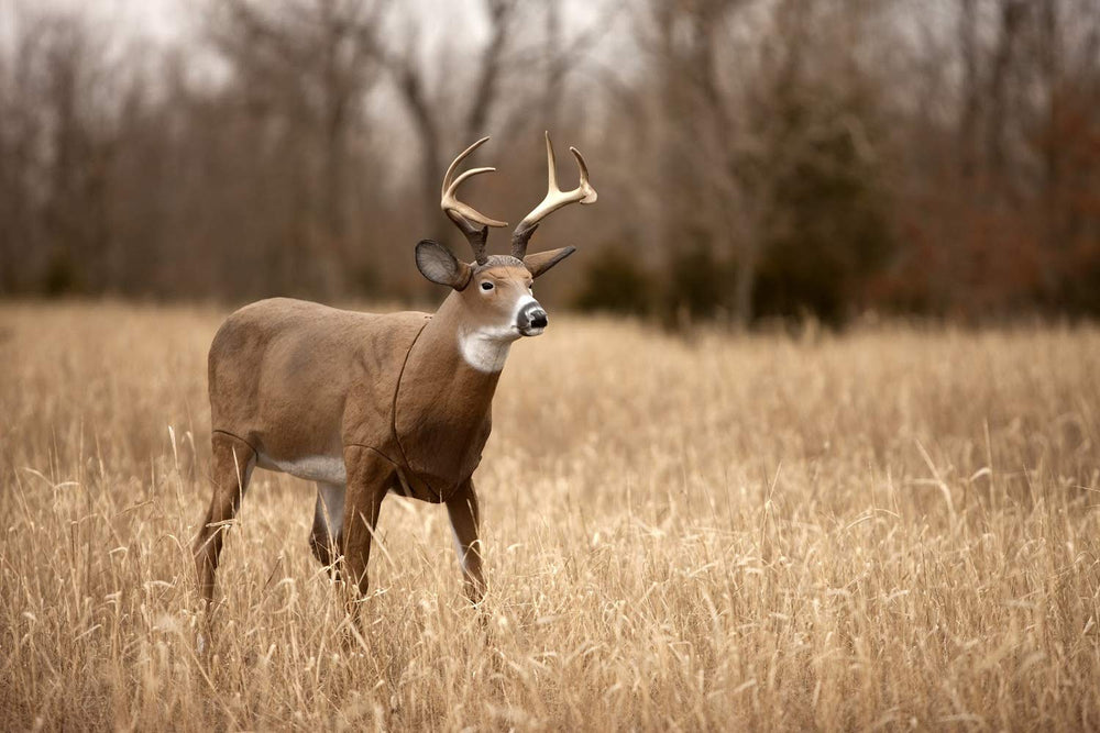 Includes blaze orange carry sling with Boss Buck decoy