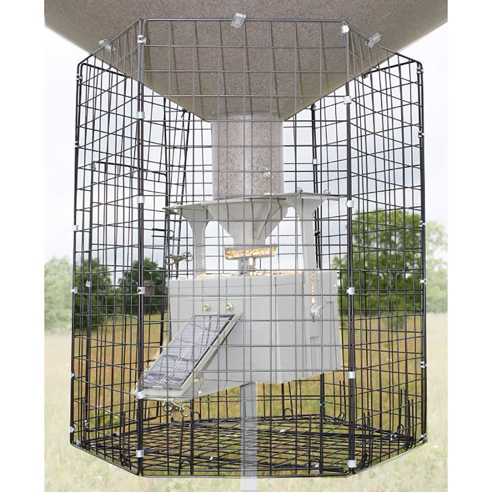Boss Buck varmint cage front view shows large door opening protecting the feeder's delivery system.
