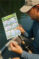 Bottom rig diagrams for freshwater fishing