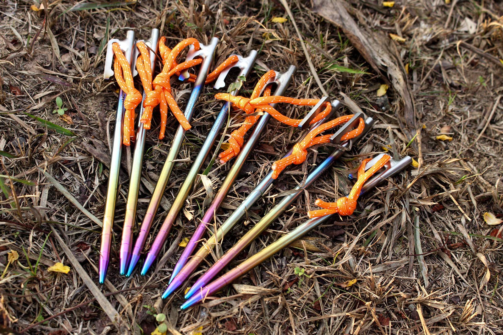 Boundless Voyage 6pcs titanium tent pegs kit for reliable staking.