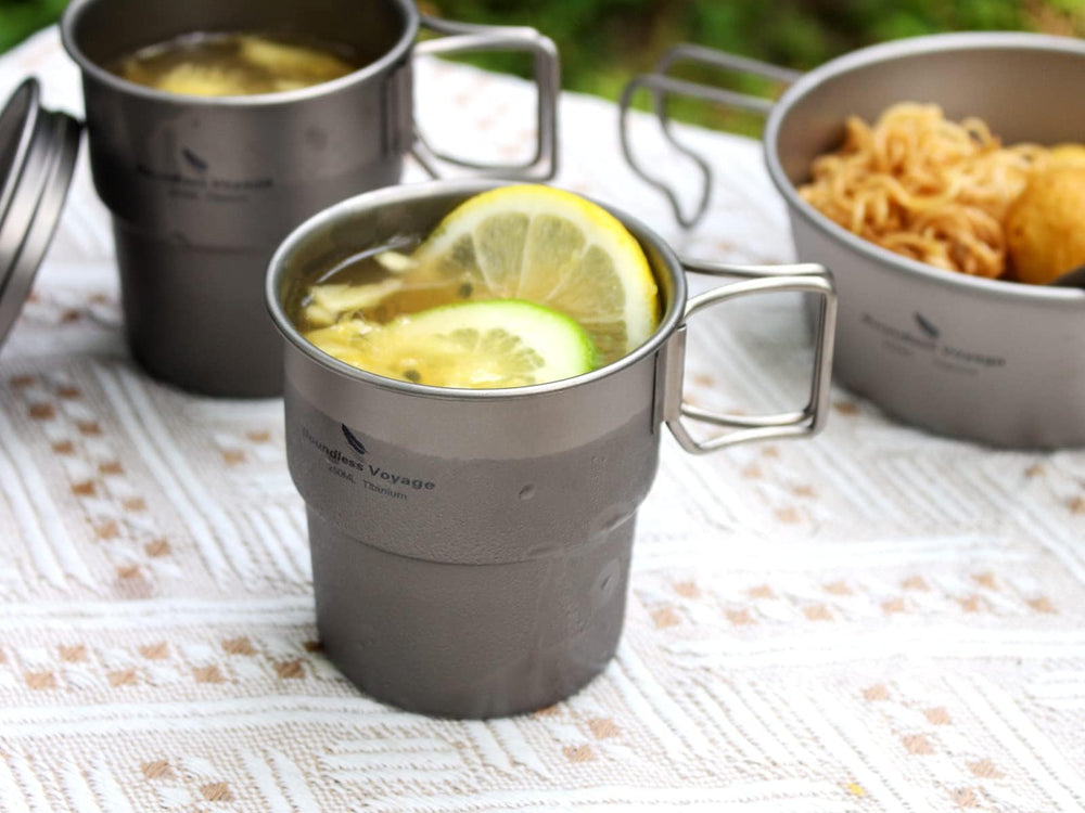 Boundless Voyage Ti3051D cup with lid for protection.