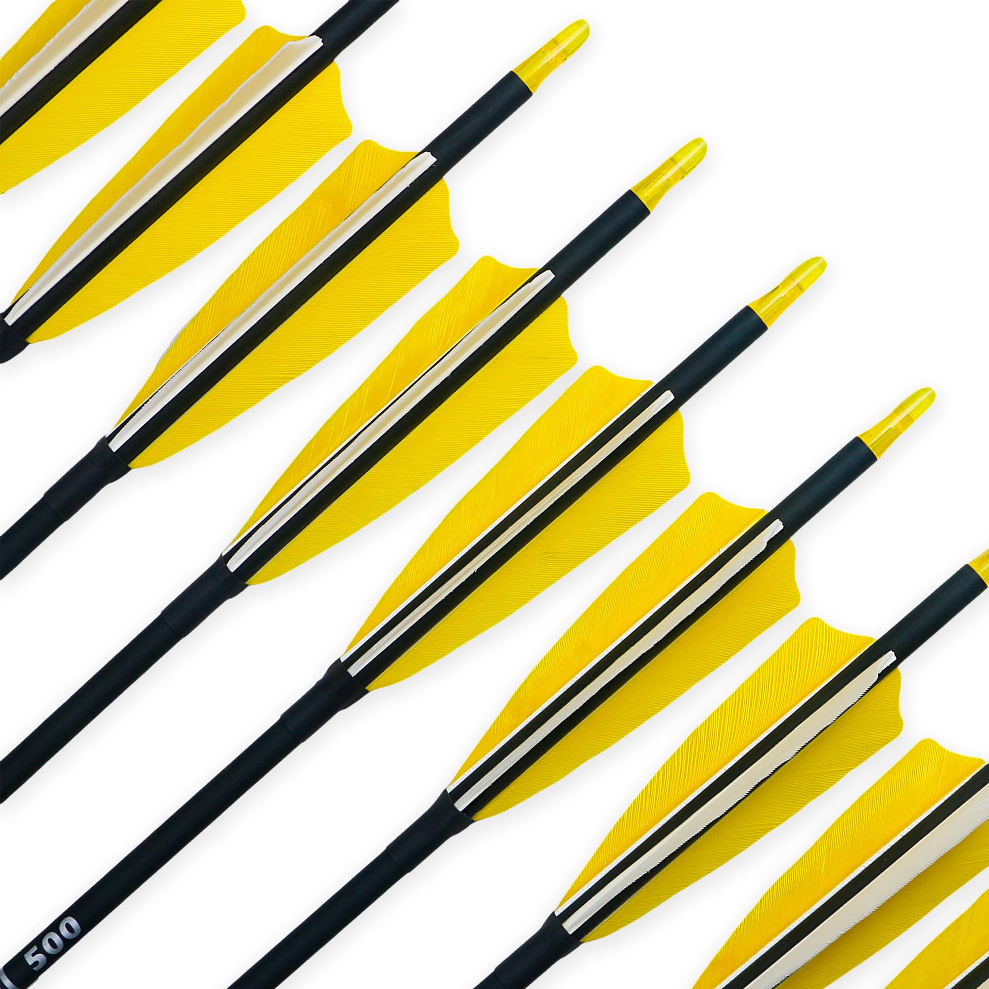 BOWSOUL arrow_pack_12 showing twelve arrows for practice sessions