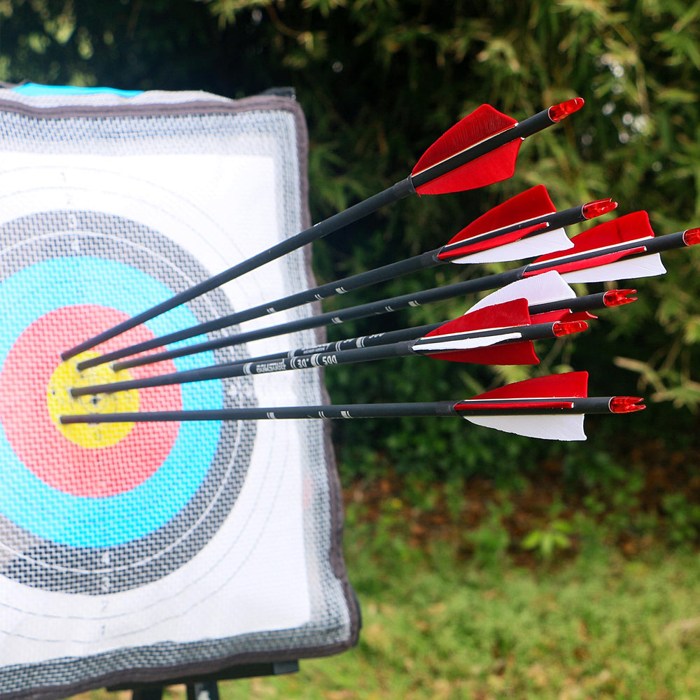 BOWSOUL pack of 12 arrows with nocks ready for range sessions.