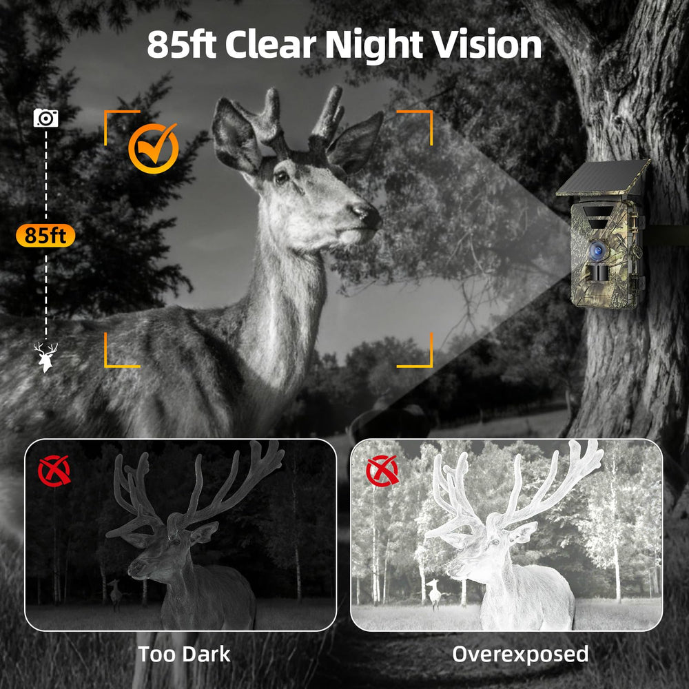BoxLegend IP66 waterproof design endures harsh outdoor conditions for reliable monitoring.