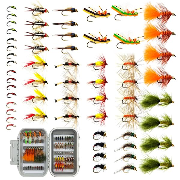 Brairia fly fishing flies assortment with waterproof fly box