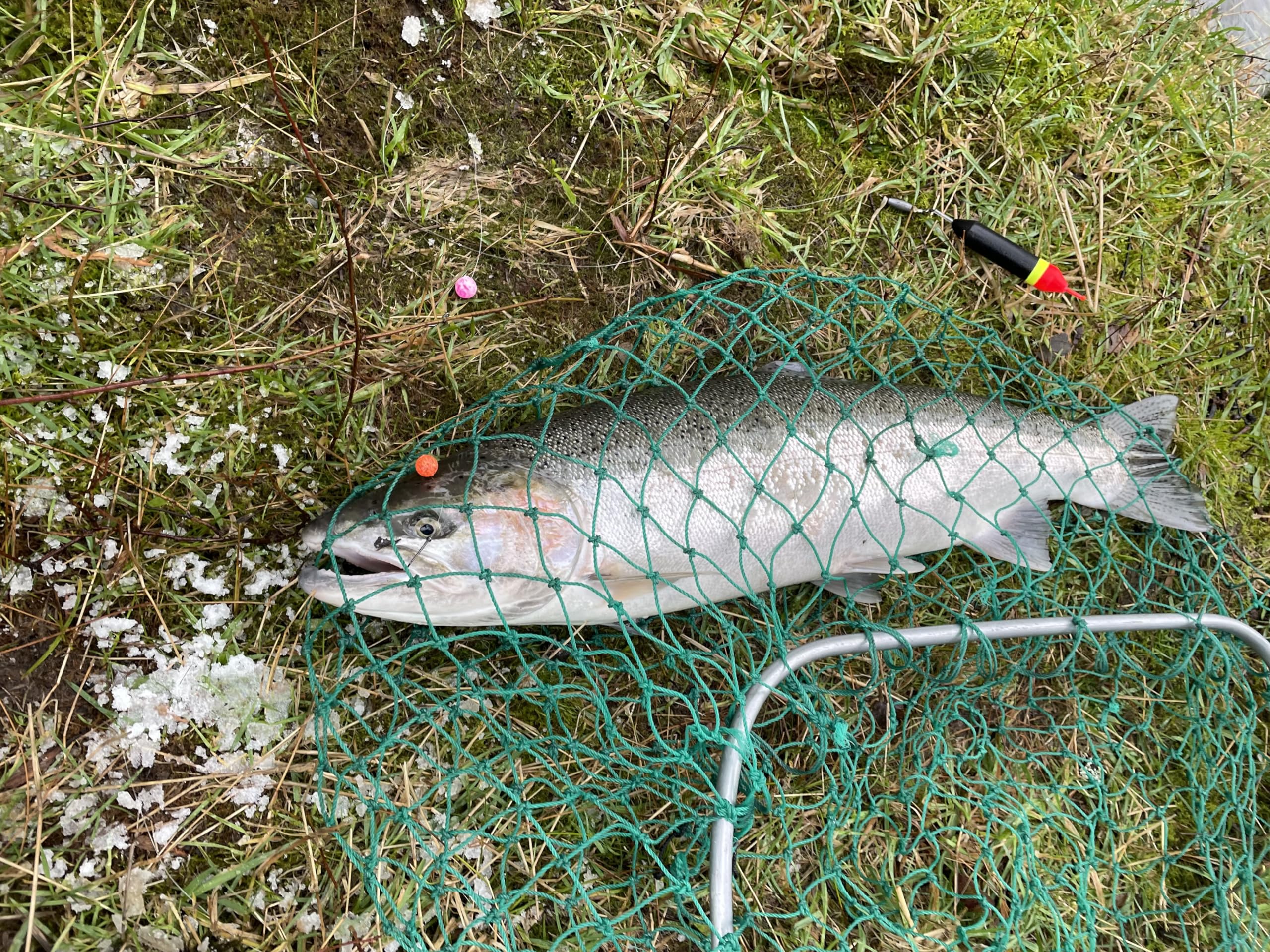Slip floats in use for drift fishing from bank or boat