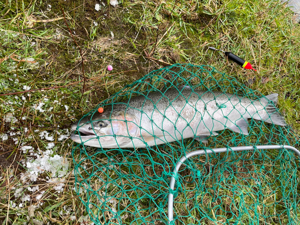 Slip floats in use for drift fishing from bank or boat