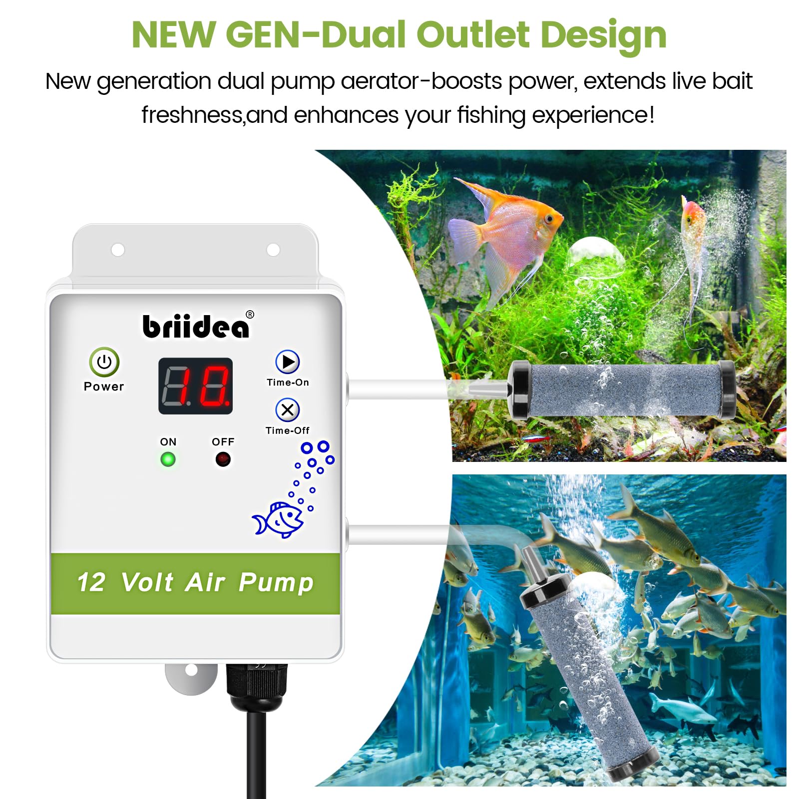 Bubblestone aeration with dual outlets in livewell