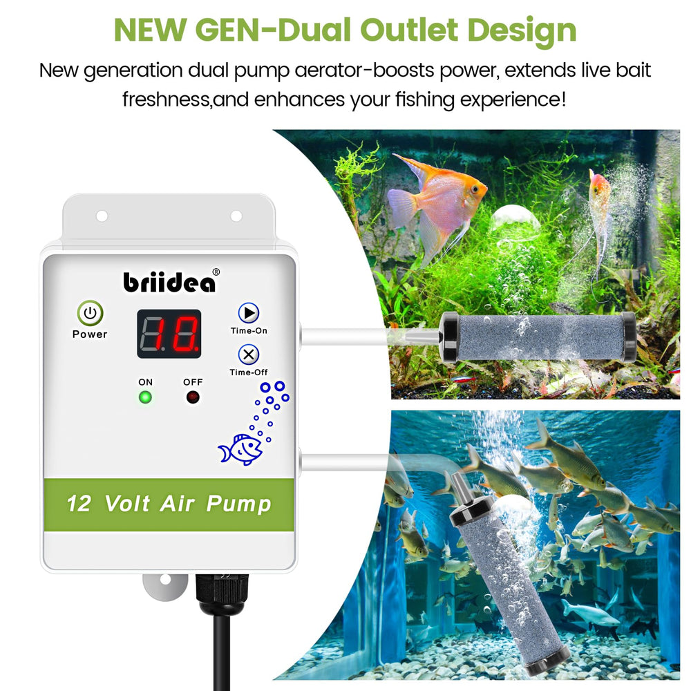 Bubblestone aeration with dual outlets in livewell