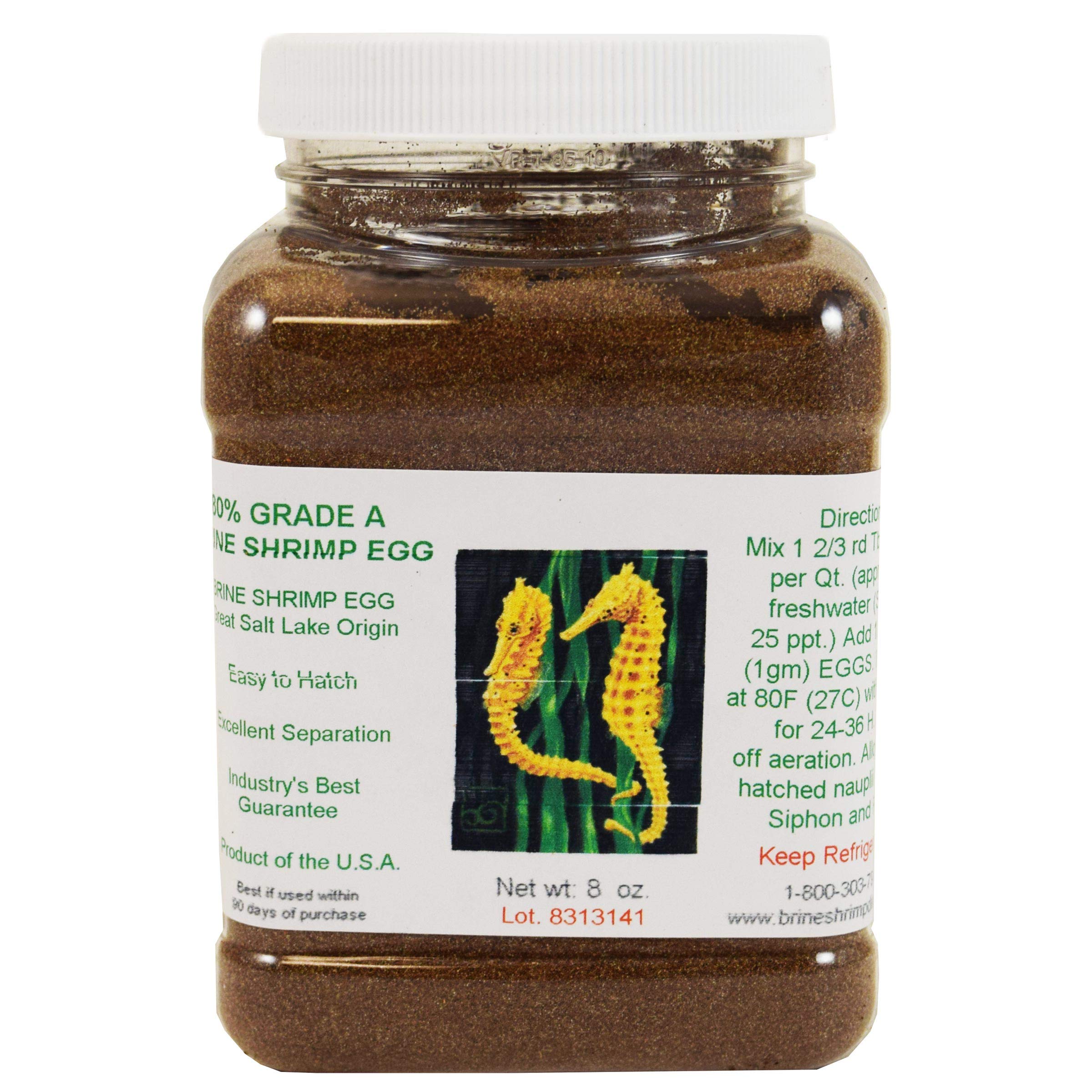 Brine Shrimp Direct Grade A eggs in an 8 oz jar suitable for consistent hatch attempts