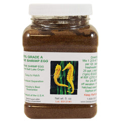 Brine Shrimp Direct Grade A eggs in an 8 oz jar suitable for consistent hatch attempts