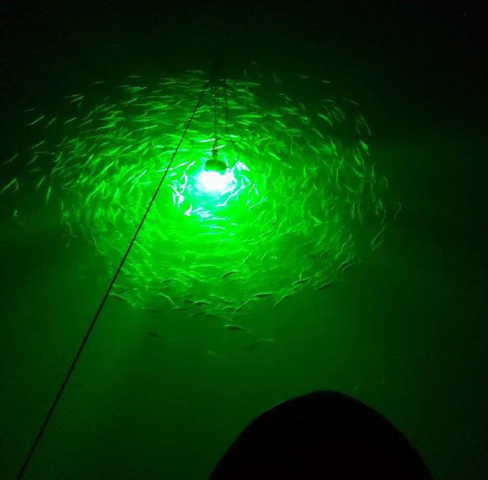 Prawns, squid and fish attracted by Broadroad green LED light