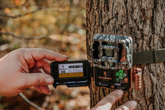 Browning Dark Ops DCL Nano 4K video with sound captures wildlife activity.