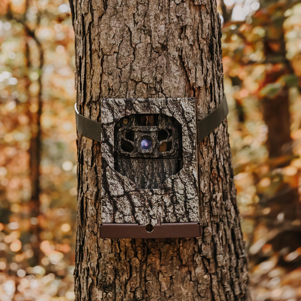 Browning Dark Ops FHDR40 discreet security monitoring at property night.