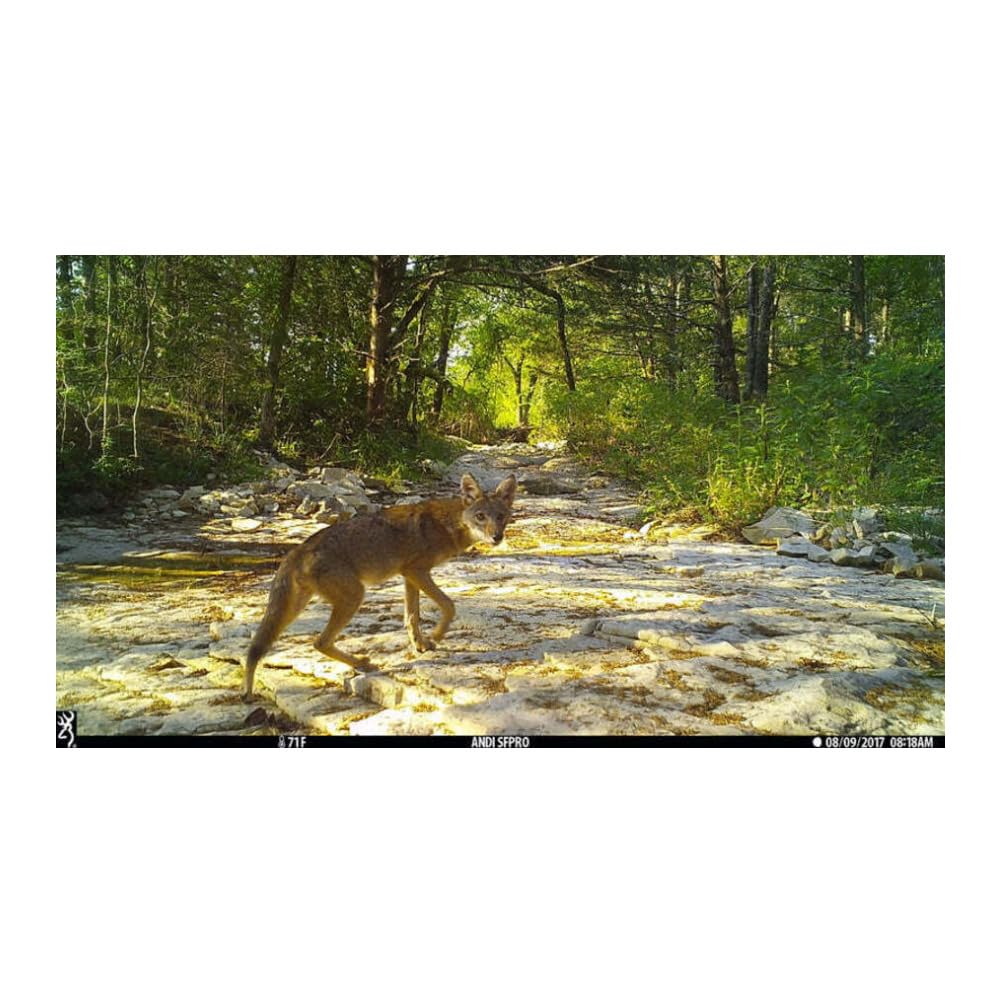 Browning Dark Ops Pro X 1080 Illuma-Smart technology enhances low-light footage quality.